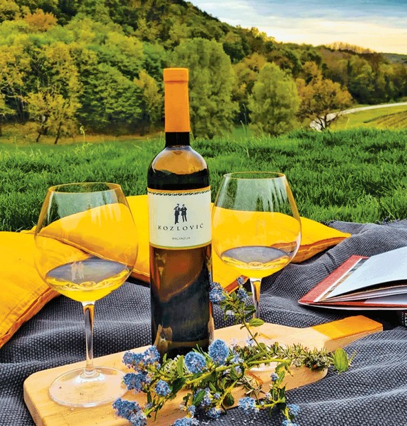 Malvazija Istarska Kozlovic kroatisch Weißwein